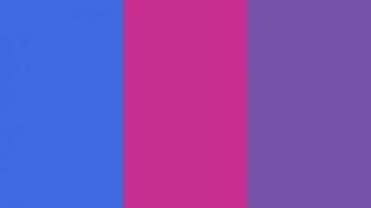 Royal Blue Web Fuchsia And Purple Three Color Background