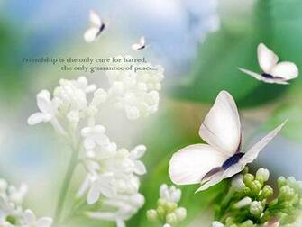 Cute Friendship Quote Quotes