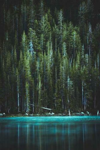 Vertical Pictures Image Stock Photos On
