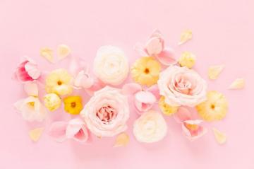 Digital Blooms August Desktop Wallpaper Justinecelina