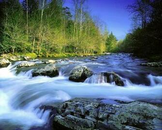 Rivers HD Wallpaper Beautiful