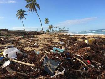 Pollution Pictures Image