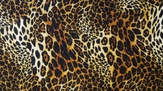 HD Animal Print Wallpaper