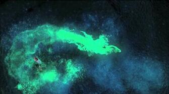 Whale Life Of Pi HD Wallpaper