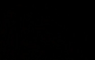 Black Wallpaper Desktop Windows