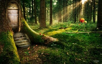 Enchanted Forest Wallpaper HD