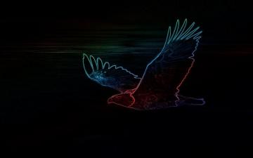 Neon Eagle Black Wallpaper HD Desktop And Mobile Background