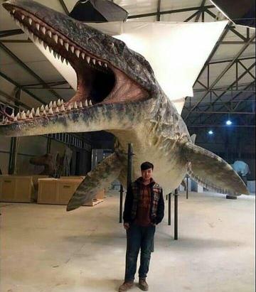Paleontologyworld S Instagram Post Full Size Mosasaurus