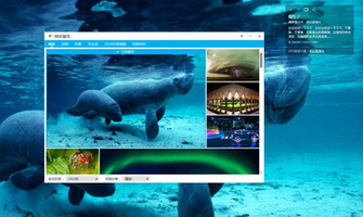 Bing Desktop