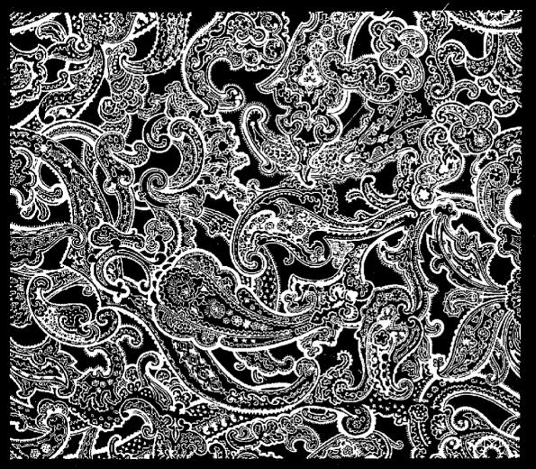Black And White Paisley Wallpaper Desktop