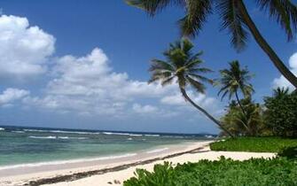 HD Beautiful Beach On St Croix Usvi Wallpaper