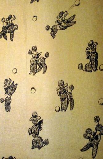 Adorable Vintage Poodle Wallpaper Oodles Of Poodles A Girls Best Fr