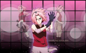 Sakura Haruno Shippuden Wallpaper Group