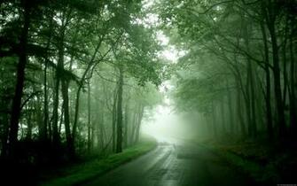 Beautiful Wallpaper HD Widescreen Desktop