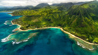 Earth Forest Hawaii Maniniholo Bay Mountain 4k Rare