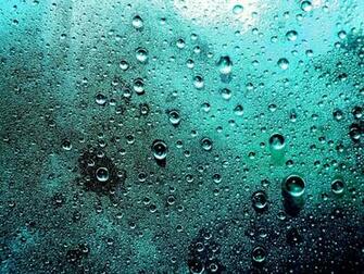 Water Droplets Wallpaper