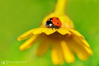 Cool Summer Season Pictures Entertainmentmesh