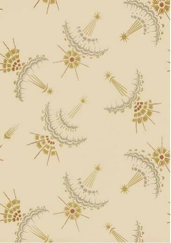 Shooting Stars Ceiling Paper C The Knight House Silver