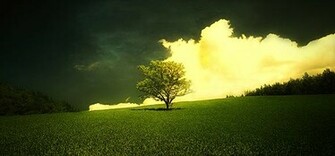 Amazing Wallpaper Pictures