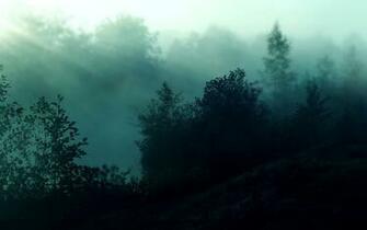 Morning Mist Wallpaper