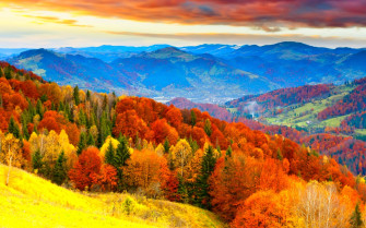 Autumn Fall Season Nature Landscape Leaf Leaves Color Seasons Wallpaper