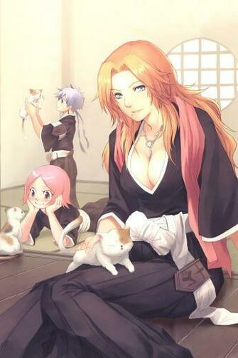 HD Wallpaper Cat Big Boobs Anime Kotetsu Isane Bleach