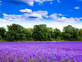 Landscape HD Wallpaper 10wallpaper