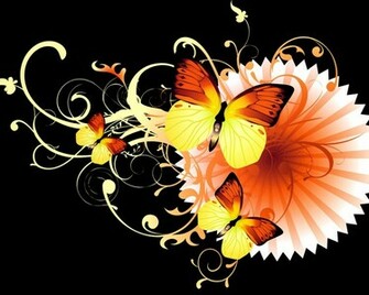 Cool Butterfly Wallpaper Background Hq