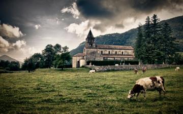 Farm HD Wallpaper