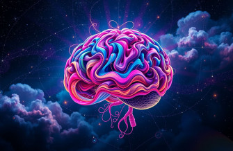Brain Wallpaper HD