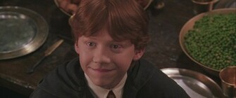 Potter And The Chamber Of Secrets HD Wallpaper Background Photos