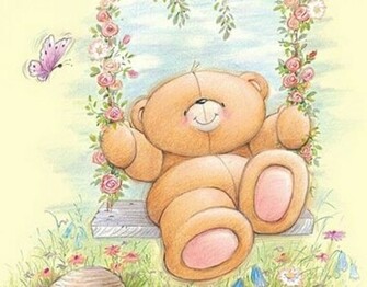 Cute Bear Animal Image
