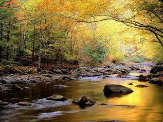 Wallpaper Autumn Seasons Greetings Trees Forests Scenery