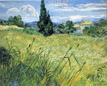 Wheatfield With Cypress Vincent Van Gogh Wallpaper Image
