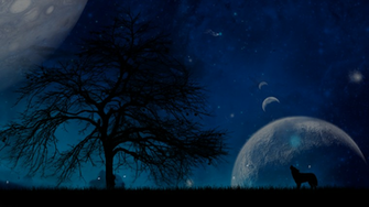 Howling Wolf Wallpaper By Lylliewolf