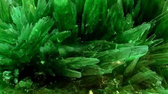 Green Desktop Wallpaper