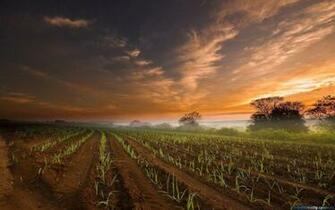 Farm Background Pictures