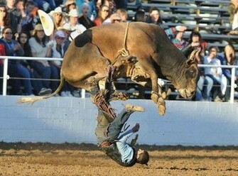 Funny Wallpaper World