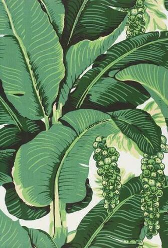 Fabulous Brazilliance Wallpaper