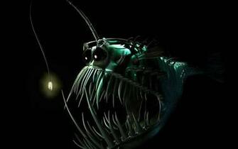 Anglerfish Fish Ocean Sea Underwater Dark Creepy Monster