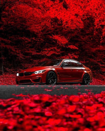 Techniqa On Bmw Wallpaper