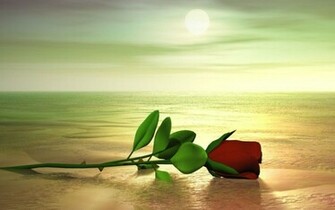 3d Red Rose Wallpaper Graphique Fond D Cran