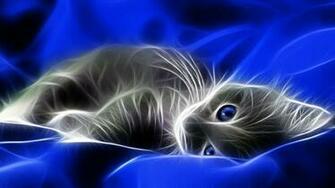 Fractals Grey Spirit Kittens Wallpaper