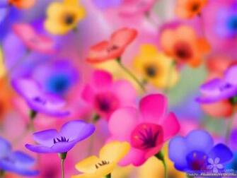 Flower Wallpaper Love Best HD Greeting