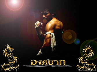 Muay Thai Wallpaper
