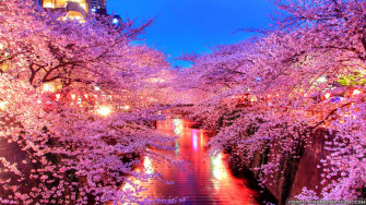 Spring Image Wallpaper