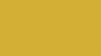 Yellow Solid Color Wallpaper X Wallpaperlayer