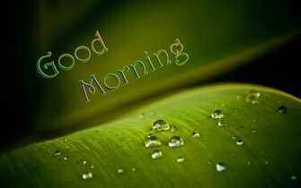 Lovely Good Morning Image Wallpaper
