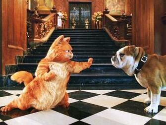 Garfield Wallpaper And Image Pictures Photos