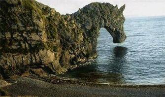 Wonders Of Nature Wallpaper